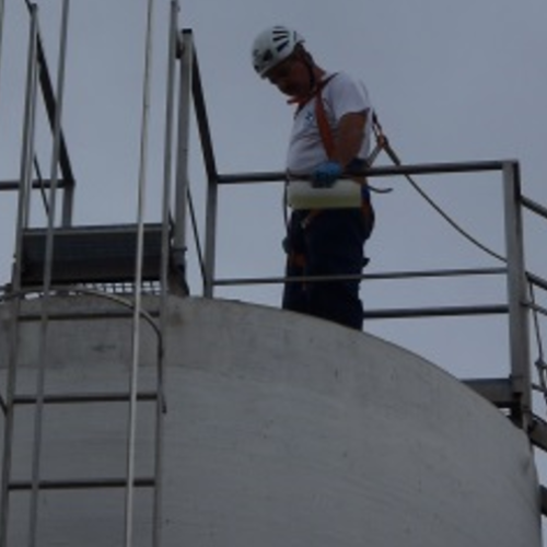 control plagas valladolid